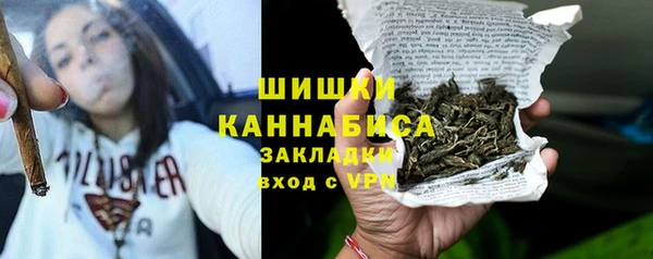 сатива Арсеньев