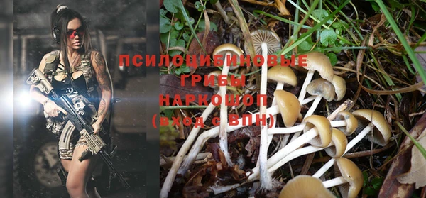 соль курить ск Алексеевка