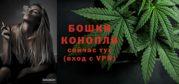 сатива Арсеньев