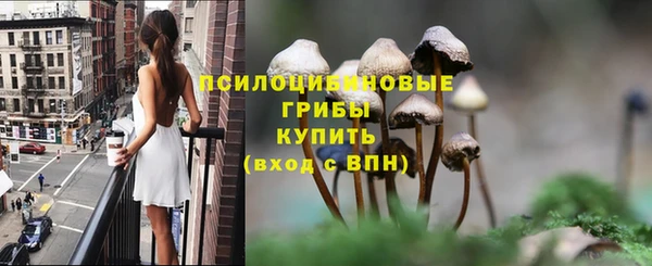 сатива Арсеньев