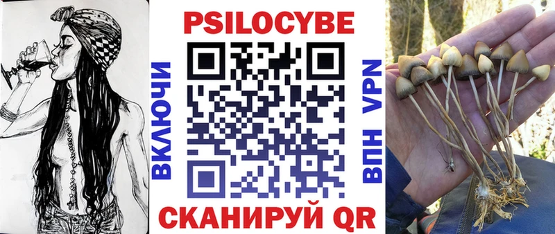 Галлюциногенные грибы Magic Shrooms  где купить наркотик  Вихоревка 