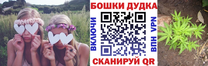 Бошки Шишки марихуана  гидра ONION  Вихоревка 
